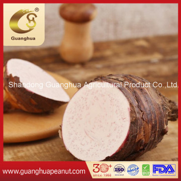 High Quality Fresh Taro From China